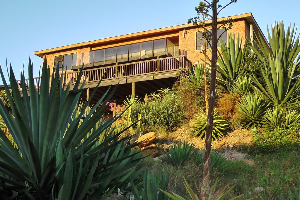 Starfish Surf House Villa Jeffreys Bay Room photo
